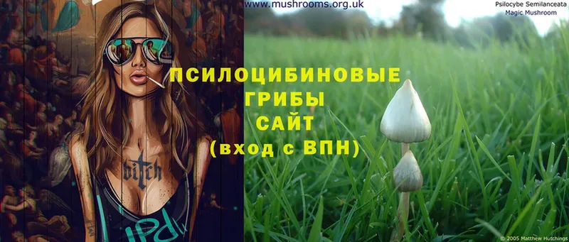 Псилоцибиновые грибы Psilocybine cubensis  ОМГ ОМГ рабочий сайт  Выкса 